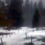 Snow outside the Ahwahnee
