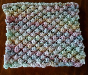 Dishcloth-Raspberry Stitch