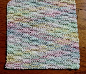 Dishcloth-Squidge