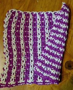 Dishcloth-magicstripe