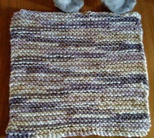 Dishcloth-Garterstraight-3