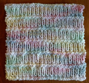 Dishcloth-WhiteBirch